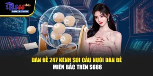 Dàn Đề 247 – Kênh Soi Cầu Nuôi Dàn Đề Miền Bắc Trên S666
